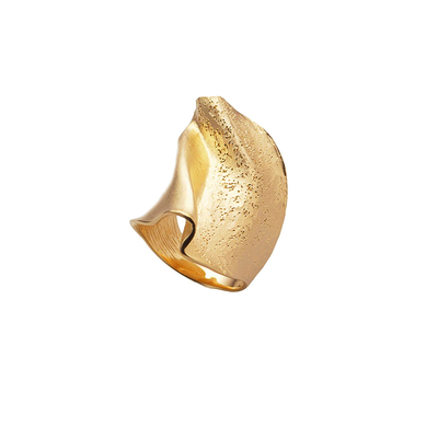 Кольцо A due facce из серебра 925 с покрытием желтым золотом, Цвет: золотой, фото